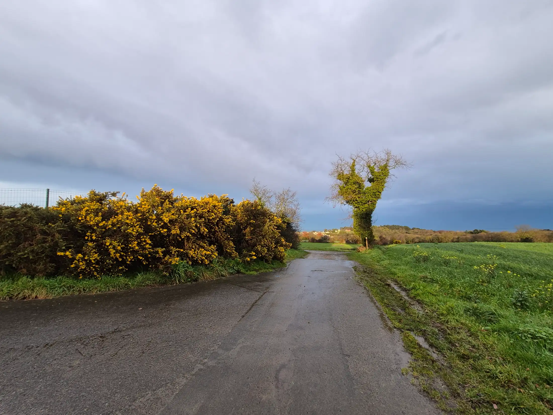 La campagne après la pluie