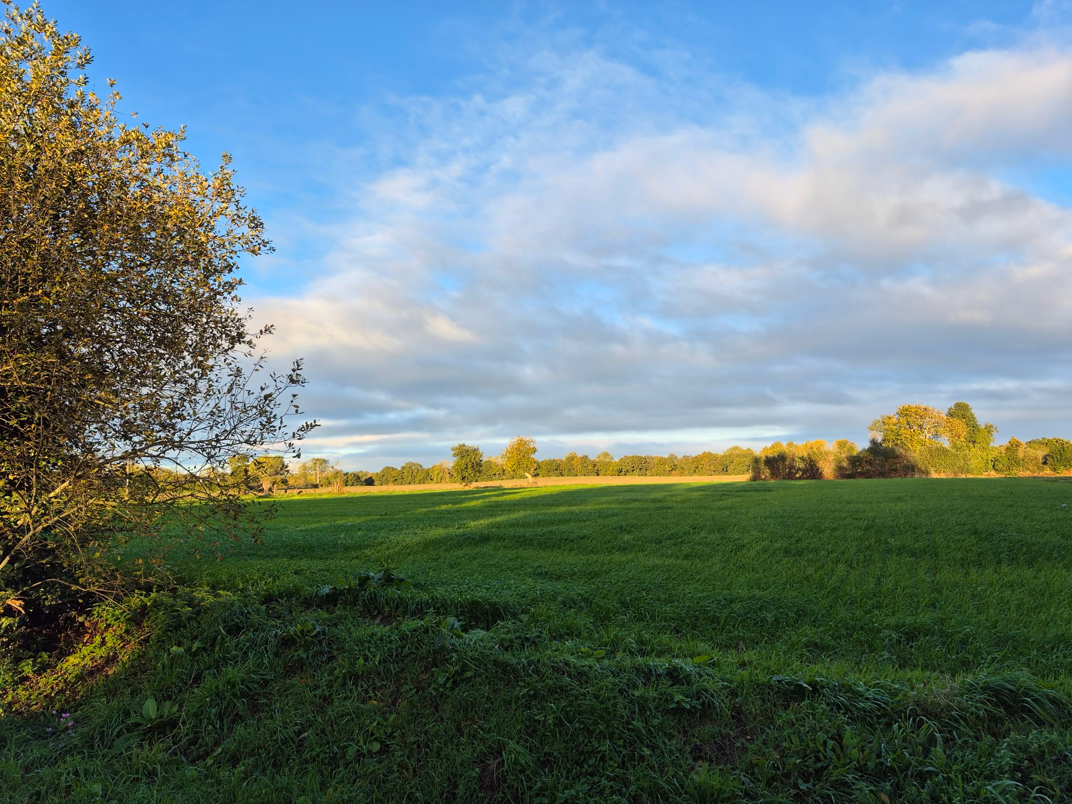 Entre la campagne et la côte