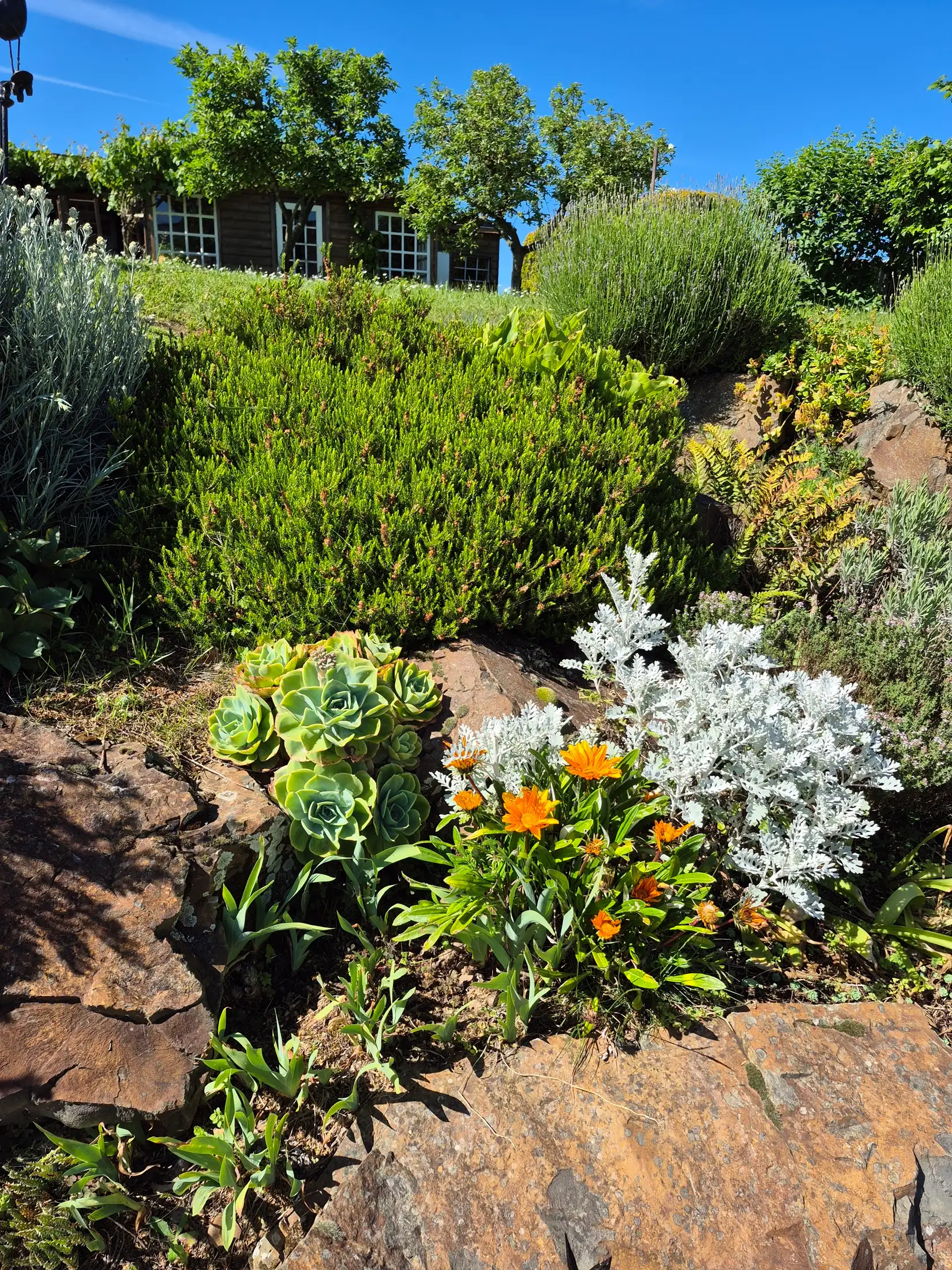 Le jardin au printemps
