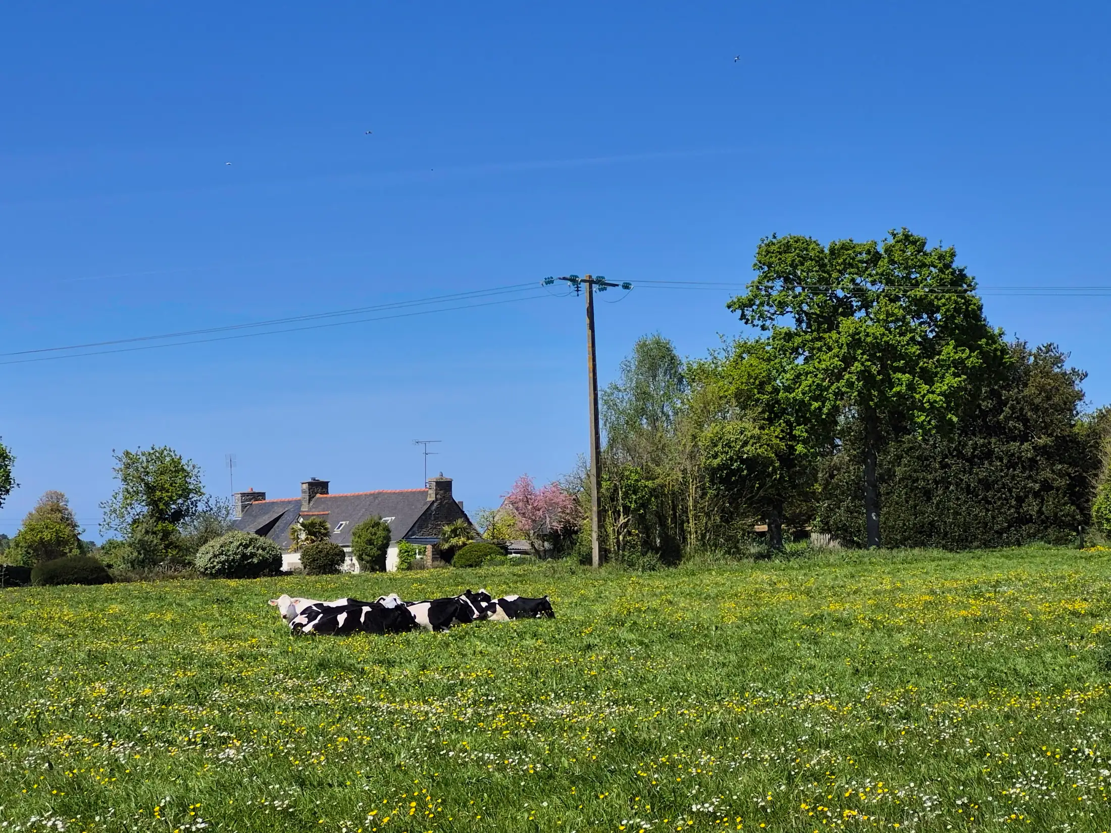 La prairie de la Ville Durand